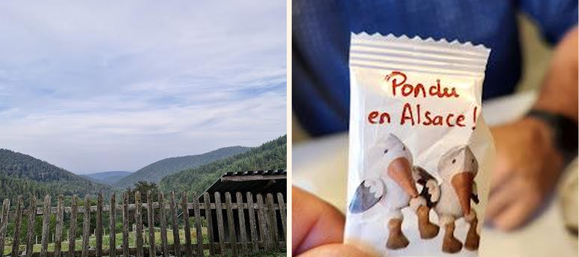 Ferme auberge de la Glashütte - Gallery Image 6